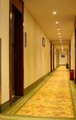 Туры в отель GreenTree Inn (Shanghai Kangheng Road Metro Station Jinxiu Road)