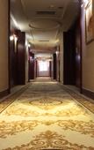Туры в отель Vienna Hotel (Foshan Nanzhuang Metro Station)