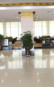Туры в отель Century Hotel