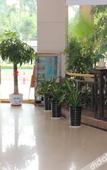 Туры в отель Dapeng Hotel, Zhuhai