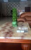 Туры в отель Naisi Business Hostel