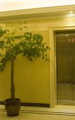 Туры в отель Naisi Business Hostel