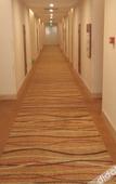 Туры в отель Wolongxuan  Hostel