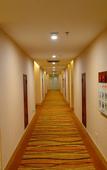 Туры в отель Wolongxuan  Hostel