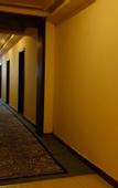 Туры в отель YUE FEI YUN Hotel