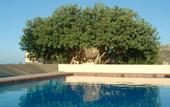 Туры в отель Angelos Village Hotel