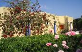 Туры в отель Angelos Village Hotel