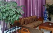 Туры в отель XinHongjun Hostel
