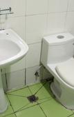 Туры в отель 7 Days Premium Hotel (Jinan Daming Lake)