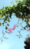 Туры в отель Haihua Holiday House