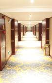 Туры в отель The Dynast's Hotel