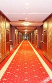 Туры в отель The Dynast's Hotel