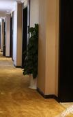 Туры в отель Home Inn & Suites (Beilun Huashan Road)