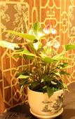 Туры в отель Home Inn & Suites (Beilun Huashan Road)