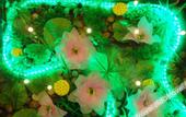 Туры в отель Shuyi Express Hotel