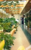 Туры в отель Chengdu pangang Hotel