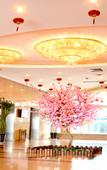 Туры в отель Chengdu pangang Hotel