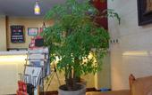Туры в отель Long Xin Hotel