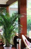 Туры в отель Chengdu Rongcheng Hotel (Tianfu Square Subway Station, Chunxi Road)