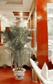 Туры в отель Chengdu Rongcheng Hotel (Tianfu Square Subway Station, Chunxi Road)