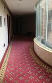Туры в отель JIN SE LIAN HUA HOLIDAY HOTEL