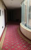 Туры в отель JIN SE LIAN HUA HOLIDAY HOTEL