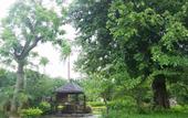 Туры в отель Nanning Jiuquwan Hot Spring Holiday Hotel