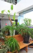 Туры в отель Dazhen Plaza Hotel