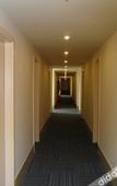 Туры в отель 99 Inn (Shanghai Jiading Malu Qipeicheng)
