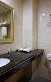 Туры в отель Shell Hotel (Zhuhai Doumen Daxin Xinduhui)