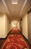 Туры в отель Shennong Hotel (Huayuan Street)