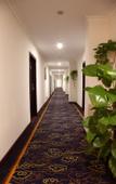 Туры в отель Yagu Landis Hotel (Foshan Creative Industry Park Wangfujing Ziweigang Branch)