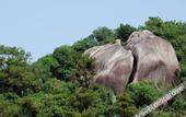 Туры в отель Zilian Forest Resort