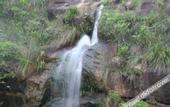 Туры в отель Zilian Forest Resort
