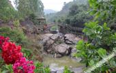 Туры в отель Zilian Forest Resort