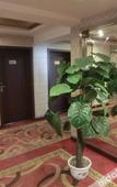 Туры в отель Home Inn Cloud Four Seasons Hotel (Taiyuan Liuxiang Bell Tower Street Scenic Area Branch)