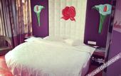 Туры в отель Shanghai Chengan Hotel (Fudan Affiliated Pediatric Hospital Jinjiang Paradise Subway Station)