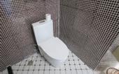 Туры в отель Shanghai Chengan Hotel (Fudan Affiliated Pediatric Hospital Jinjiang Paradise Subway Station)