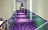 Туры в отель Shanghai Chengan Hotel (Fudan Affiliated Pediatric Hospital Jinjiang Paradise Subway Station)