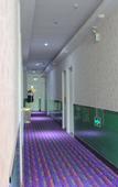 Туры в отель Shanghai Chengan Hotel (Fudan Affiliated Pediatric Hospital Jinjiang Paradise Subway Station)