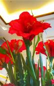 Туры в отель Juncheng Higher-quarter Hotel
