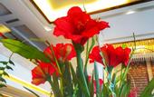 Туры в отель Juncheng Higher-quarter Hotel