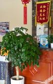 Туры в отель Super 8 Hotel (Shanghai Songjiang Chedun Movie City Nanyao Road)