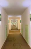 Туры в отель Tongbaiyun Hotel (Suqian Hongzehu East Road Sunshine 100 Shop)