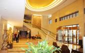Туры в отель Pidu International Hotel