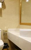 Туры в отель Vienna Hotel (Shanghai Sheshan Happy Valley)