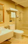 Туры в отель Vienna Hotel (Shanghai Sheshan Happy Valley)