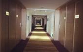 Туры в отель Kyriad Hotel (Xi'an Hi-tech Sunshine World)
