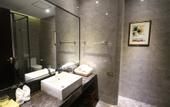 Туры в отель Shunxuan Hotel Foshan