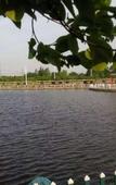 Туры в отель Shuiyue Home Hotel (Nanjing Lukou International Airport Airport New Town Jiangning Branch)